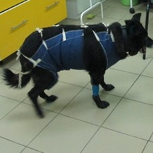 Стационар