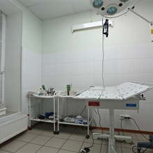 Ветеринарная клиника г. Тверь, ул. Скворцова-Степанова, д.38