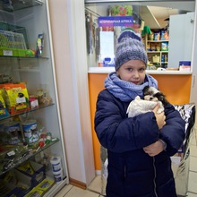 Ветеринарная клиника г. Тверь, ул. Скворцова-Степанова, д.38