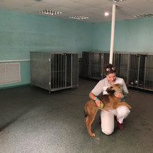 Зоогостиница