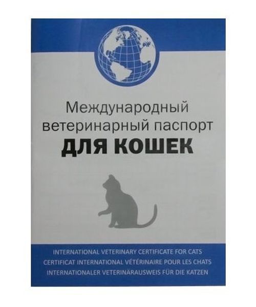 провоз кошки в поезде