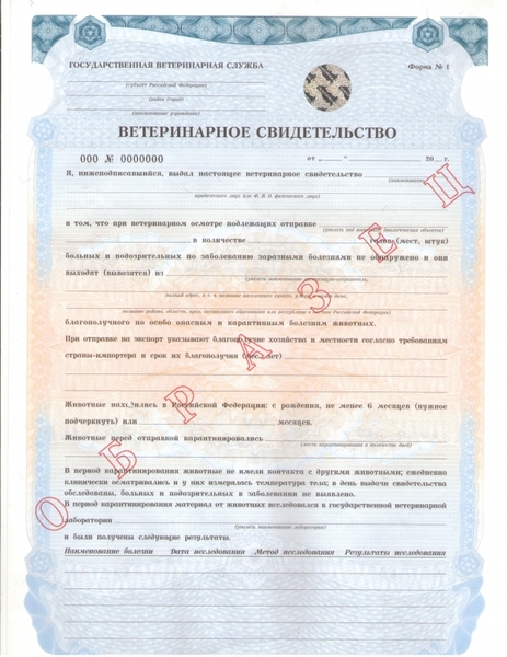 ветеринарное свидетельство для животного